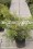 /environment/cache/images/300_250_productGfx_004040380ec2fe0aa17f9005eaa3f8e3.jpg