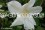 /environment/cache/images/300_250_productGfx_0bda07b6ca073eb7c4fb7dc91cf76fda.jpg