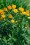 /environment/cache/images/300_250_productGfx_0bff218c32f038381cd802b84170a519.jpg