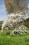 /environment/cache/images/300_250_productGfx_125a84ee4448282f01f0af6f7d7ca297.jpg