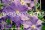 /environment/cache/images/300_250_productGfx_20ce4ec8bc4cd79a94e70c44fabf60fe.jpg