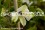 /environment/cache/images/300_250_productGfx_43e10c37ba82b89148133c281ade1c2d.jpg