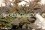 /environment/cache/images/300_250_productGfx_44988ad6fdd8f6eb66593c6ba454e0e8.jpg