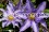 /environment/cache/images/300_250_productGfx_4b2d1a461696e6cd97eb0ed6116c021a.jpg
