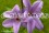 /environment/cache/images/300_250_productGfx_5f3b15fc9337487dee88a5392051a0e3.jpg