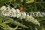 /environment/cache/images/300_250_productGfx_630d98c8f5af229352ca51b443ec72b6.jpg