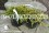 /environment/cache/images/300_250_productGfx_6ffefe176a150c6a6a5a0d9debcafa61.jpg