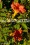 /environment/cache/images/300_250_productGfx_76c7abd35bfd3b2a928e25a9f40d36e0.jpg