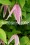 /environment/cache/images/300_250_productGfx_7f875685ab511b3ac92d5e41fe68bd94.jpg