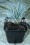 /environment/cache/images/300_250_productGfx_9197d4f0dfed2e3757bc68e96cf6933b.jpg
