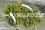 /environment/cache/images/300_250_productGfx_a2b87d1c5f56be7f334a490001eacf1b.jpg