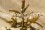/environment/cache/images/300_250_productGfx_aff1a8eb3ca5289dae1e1fbb962e80f2.jpg