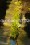 /environment/cache/images/300_250_productGfx_bd403c2adbdbda4ce3c07405c9526eb3.jpg
