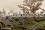 /environment/cache/images/300_250_productGfx_dcc8c6636d478d434c525a2ab55f979d.jpg