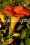 /environment/cache/images/300_250_productGfx_f62549cbc02809d160c564b041390a60.jpg