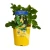 Fragaria vesca Yellow Wonder 1.webp
