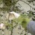 JB018_41.jpg