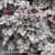 Heuchera WORLD CAFFE Corretto 1.webp