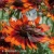 Rudbeckia SMILEY Z Happy.webp