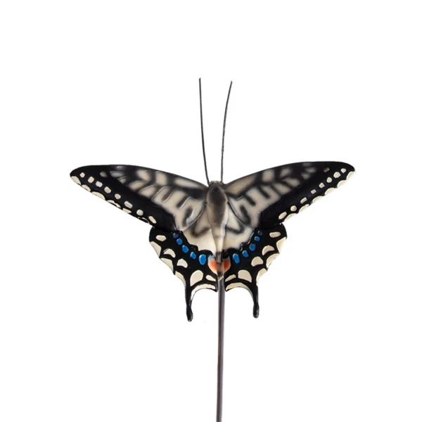 3927-motyl-na-patyku-4.webp