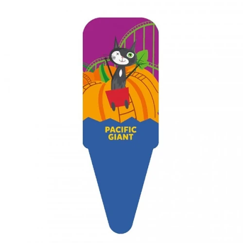 4012-pumpkin-pacific-giant-nelly-jelly (1).webp