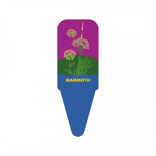 dill-mammoth-nelly-jelly (2).webp