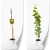 vitis-produkt-bala.webp