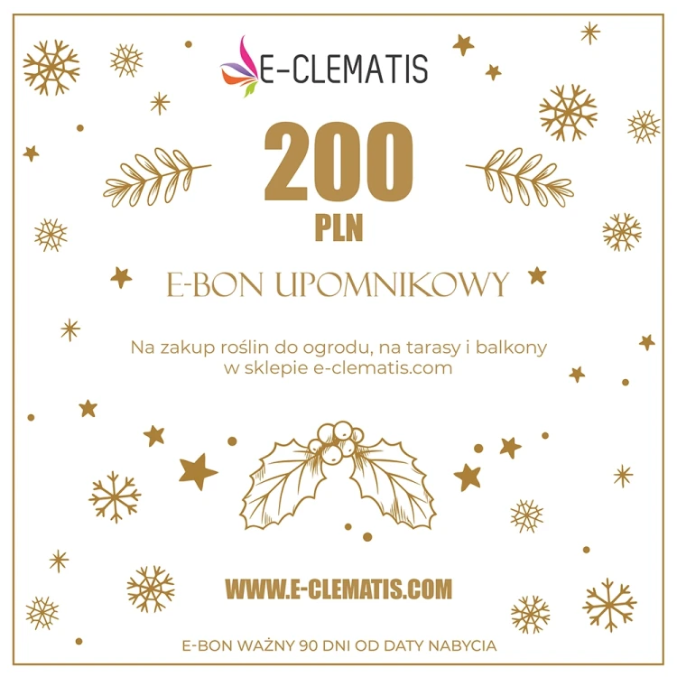 e-bon-200-karta-xmas-2025-kupon-kwadrat.webp