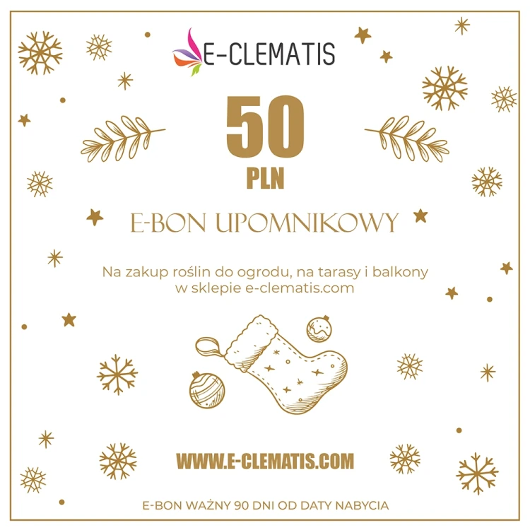 e-bon-50-karta-xmas-2025-kupon-kwadrat.webp