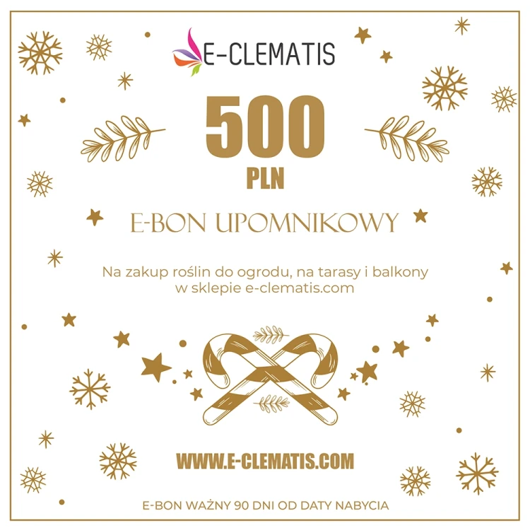 e-bon-500-karta-xmas-2025-kupon-kwadrat.webp