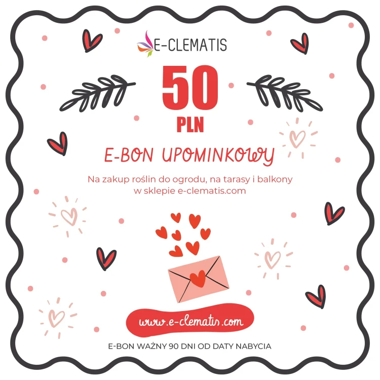 bon-karta-walentynki-2025-kupon-kwadrat-50.webp
