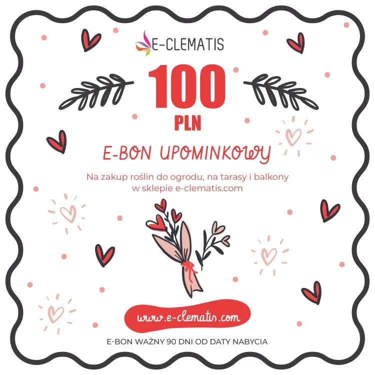bon-karta-walentynki-2025-kupon-kwadrat-100.webp