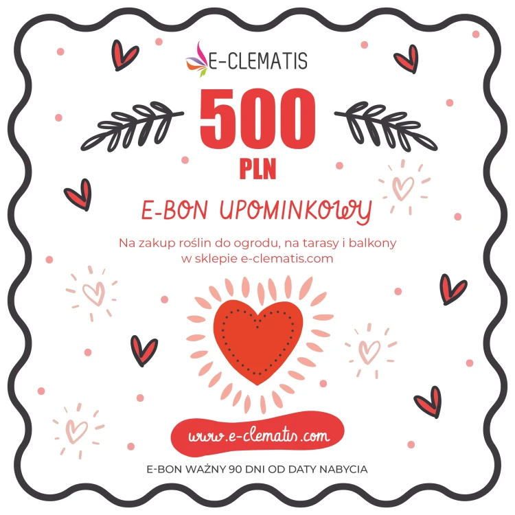 bon-karta-walentynki-2025-kupon-kwadrat-500.webp