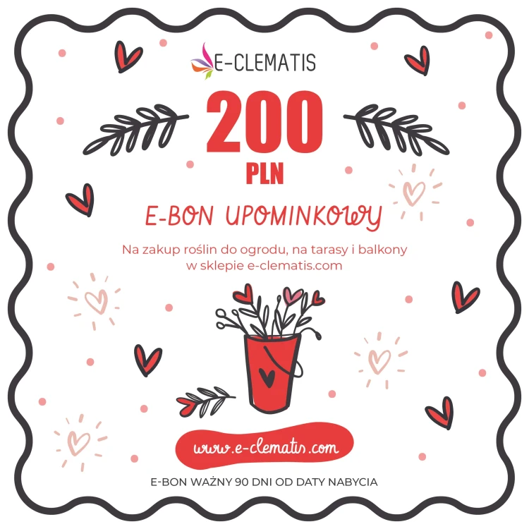 bon-karta-walentynki-2025-kupon-kwadrat-200.webp