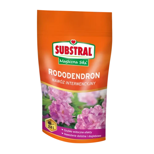 1322101_SUB-MS-RODODENDRON-PL.png.webp