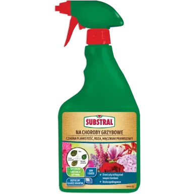 NA-CHOROBY-GRZYBOWE.png.webp