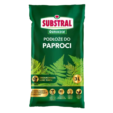 1124201_PODŁOŻE-DO-PAPROCI_3L.NOWE.png.webp