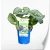 produkty-C2-brunnera-niebieska-sea-heart.webp