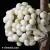 callicarpa-snowqueen.webp