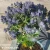 eryngium-grumpy-2-e-clematis.webp