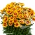 coreopsis-x-hybrida-calypso-red-eye-1-e-clematis.webp