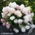 Hydrangea-Raspberry-Pink-2.webp