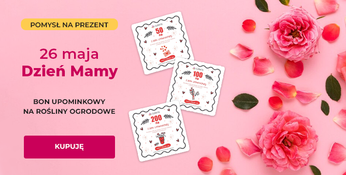 Narzędzia ogrodowe