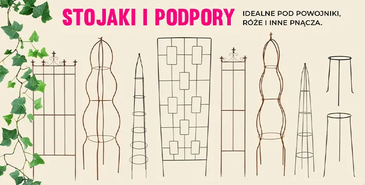Podpory
