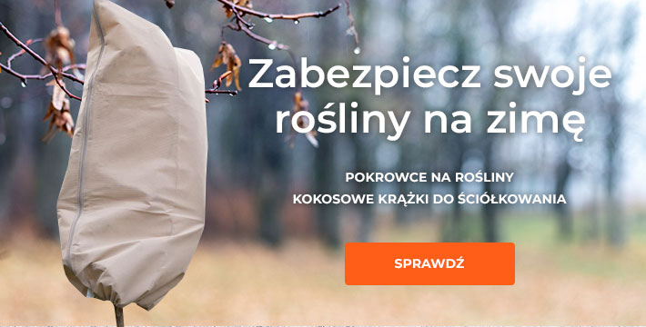 Zabezpiecz rośliny na zimę