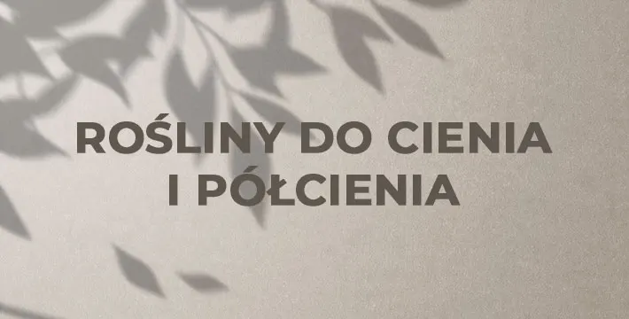 Narzędzia ogrodowe